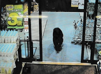 Japan: Bewaffnete Polizisten unterstützen unbewaffnete Soldaten im Kampf gegen Bären