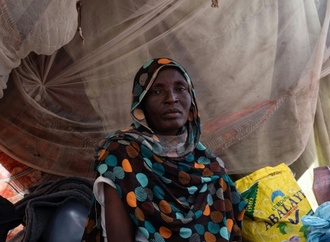 RSF-Miliz stimmt Waffenruhe-Vorschlag internationaler Vermittler zu