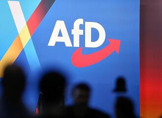Ökonom warnt vor wirtschaftlichen Risiken bei AfD-Regierung