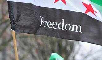 Grünen-Chefin für Abschiebungen von Straftätern nach Syrien