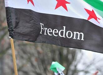 Grünen-Chefin für Abschiebungen von Straftätern nach Syrien