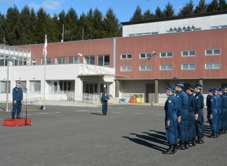 Tödliche Bärenangriffe: Polizei in Japan darf mit Gewehren auf Tiere schießen