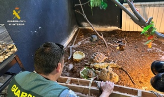 Razzia in privatem Tierheim in Spanien: Polizei rettet hunderte exotische Tiere