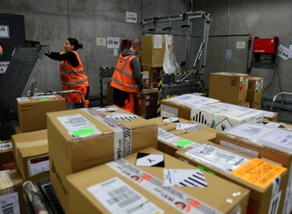 Miauen in Paketshop: Frau in Bayern gibt versehentlich Päckchen mit Katze auf