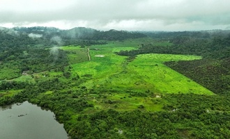 Deutschland sagt eine Milliarde Euro für Waldfonds TFFF zu