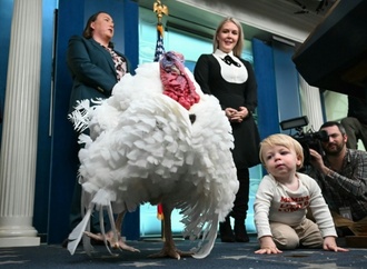 Vor Thanksgiving: US-Verbrauchervertrauen auf Sieben-Monats-Tief