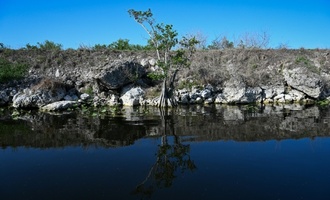US-Nationalparks: Ab Januar deutlich höherer Eintritt für ausländische Touristen
