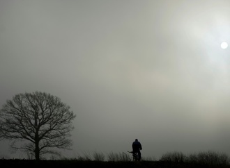 Sturz durch herausragenden Ast: Landgericht Magdeburg weist Klage von Radfahrer ab