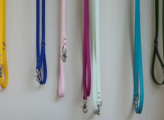 Nach Beißvorfall nahe Trier: Halter von gefährlichem Hund muss Tier abgeben