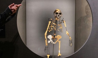 Studie: Neue Fossilien bestärken Forscher in These von weiteren Frühmenschen