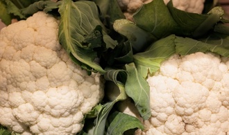 Neuer Ernährungsreport: Verbraucher achten wieder mehr auf den Preis