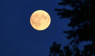 Deutscher soll zum Mond fliegen