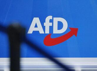 Ökonomen warnen vor Gesprächen mit der AfD