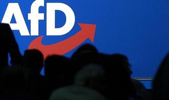 Rufe nach Vorbereitungen für AfD-Verbotsverfahren wieder lauter