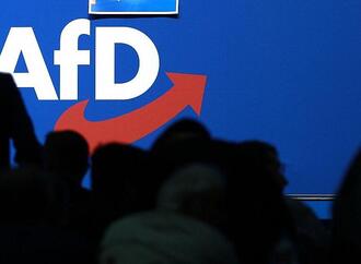 Rufe nach Vorbereitungen für AfD-Verbotsverfahren wieder lauter