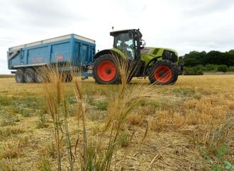 EU-Gentechnik-Reform geht in womöglich letzte Verhandlungsrunde