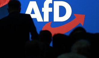 Neuer Schwung für mögliches AfD-Verbotsverfahren