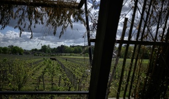 EU-Einigung auf Unterstützung für Winzer und Kennzeichnung für alkoholfreie Weine
