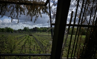 EU-Einigung auf Unterstützung für Winzer und Kennzeichnung für alkoholfreie Weine