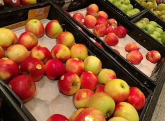 Zahl ehrenamtlicher Helfer bei Lebensmitteltafeln auf Rekordhoch