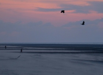 Bestattungsschiff strandet vor Juist - Seenotretter holen Passagiere von Bord
