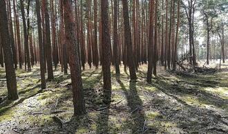 Forscher pochen auf zügige CO2-Entnahme aus der Atmosphäre