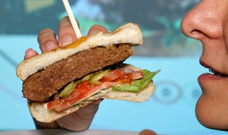 Namensverbot für Veggie-Burger geht in womöglich letzte EU-Verhandlungsrunde