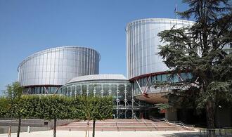 Hubig warnt vor ''politischer Einflussnahme'' auf EGMR