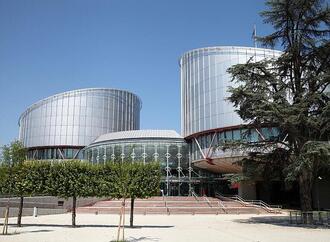 Hubig warnt vor ''politischer Einflussnahme'' auf EGMR