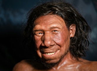 Britische Forscher: Menschen konnten schon viel früher Feuer machen als bislang angenommen