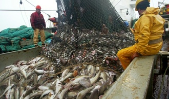 Lange Verhandlungen über Nordsee-Fischereiquoten in Brüssel erwartet