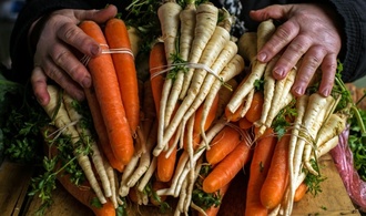 Vegetarischer Wolf aus französischem Supermarkt-Werbespot geht viral
