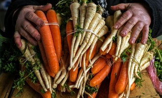 Vegetarischer Wolf aus französischem Supermarkt-Werbespot geht viral