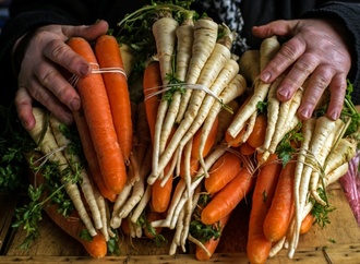 Vegetarischer Wolf aus französischem Supermarkt-Werbespot geht viral