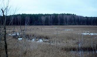 Europaweite Moor-Emission doppelt so hoch wie bisher geschätzt