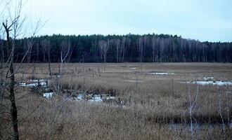 Europaweite Moor-Emission doppelt so hoch wie bisher geschätzt