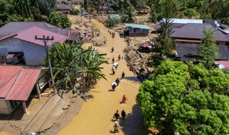 Seltene Orang-Utans durch Folgen von Flutkatastrophe in Indonesien bedroht