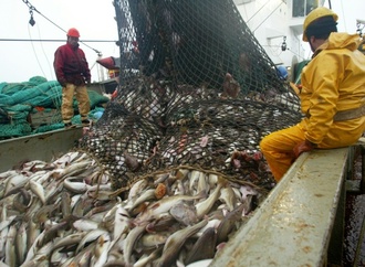 Minister der EU-Staaten einigen sich auf Fischereiquoten für 2026