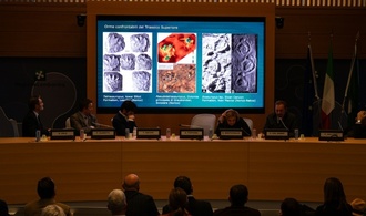 Hunderte Meter Dinosaurier-Spuren in italienischen Alpen entdeckt