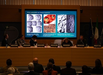 Hunderte Meter Dinosaurier-Spuren in italienischen Alpen entdeckt