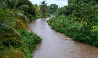 Mehr als 100 neue Arten auf französischen Antillen entdeckt