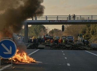 Bayerns Landwirtschaftsministerin wirbt für Mercosur-Abkommen