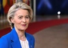 Von der Leyen verschiebt Mercosur-Abkommen: Unterzeichnung frühestens im Januar