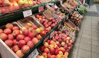 Obstbaubetriebe verzeichnen ertragreiches Jahr im Apfelanbau
