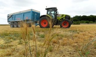 Gentechnik: Knappe Mehrheit der EU-Länder segnet Lockerungen ab