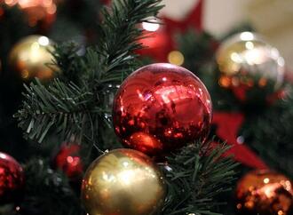 Mehrheit will sich zu Weihnachten nicht mit KI beschäftigen