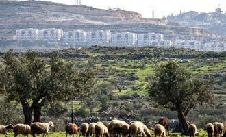 Deutschland und weitere Staaten verurteilen Genehmigung neuer israelischer Siedlungen