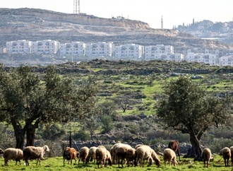 Deutschland und weitere Staaten verurteilen Genehmigung neuer israelischer Siedlungen