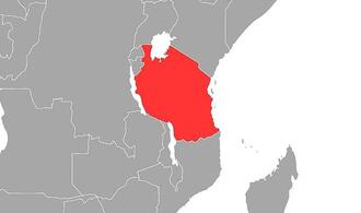 Fünf Tote bei Absturz von Hubschrauber am Kilimandscharo