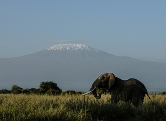 Fünf Tote bei Hubschrauberabsturz am Kilimandscharo